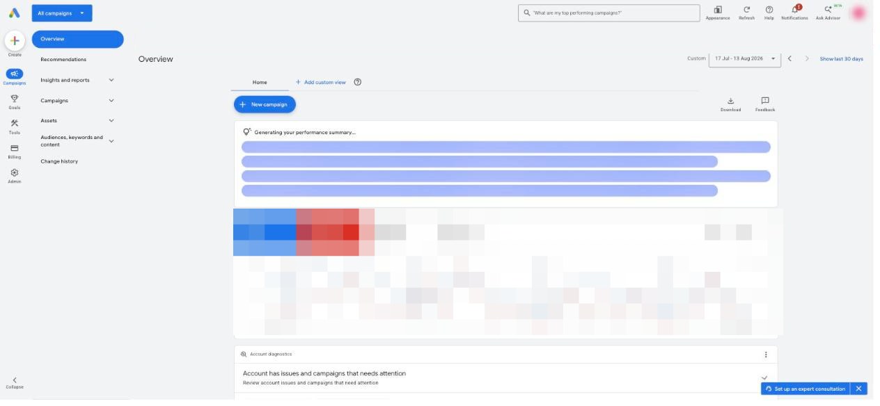 Panel Google Ads z widokiem przeglądu konta